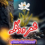 شعر و دکلمه