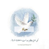 حيَاة