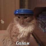 АНЕКДОТЫ 18+