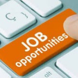 JOBS ALLEY