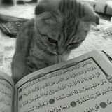 أرح قلبك