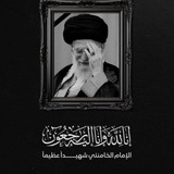 صور الشهيد ابو مهدي المهندس