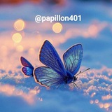 🦋 papillon 🦋