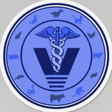 Veterinary NAVLE/BCSE