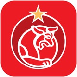 اخبار پرسپولیس