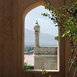 واحة الحنابلة ☘