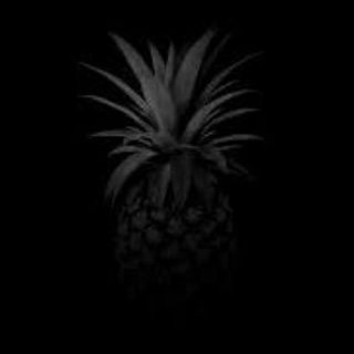 Die schwarze Ananas π
