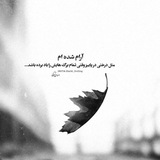 کانال دریای سخن،دکلمه سرا، ویدیوهایعاشقانه،اشعار مولانا،حافظ،سعدی،ضیاالحق رضوان...،اشعار ناب،موزیک های احساسی،مناجات،دیالوگ....
