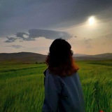 گمشدگان برای همیشه