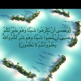 قناة عثمان خميس