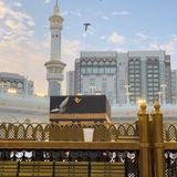 حيَاة.