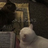 مَ | قُرآن.
