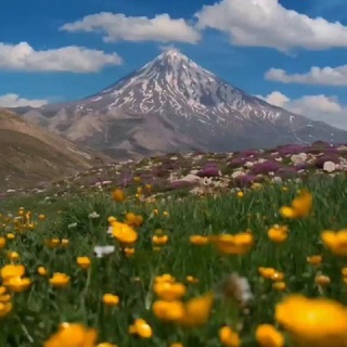 سمفونی یک زندگی