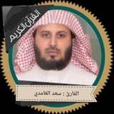 القارئ سعد الغامدي ( تلاوات )