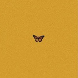 Truce | هُـدْنَـه