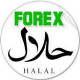 استثمار وتسليم ارباح 📊