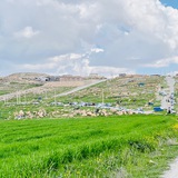 کانال اطلاع رسانی شاه ولد و داری زنگنه