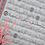 ️🍃إشراقات إيمانية 🍃️