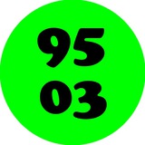 9503