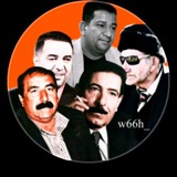 قناة شعر شعبي ابو ذيات