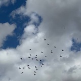 أحمَد والحَياة