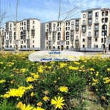 رضوان و مشروعات الإسكان