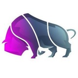 BisonTrade