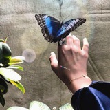 رقـه فـــرآشـــه*ه 🦋 💗 ↻_