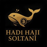 hadi hajisoltanii vip