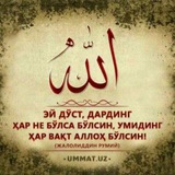Zam suralar