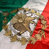 درونگرای اجتماعی