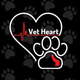 Vet Heart 🩺