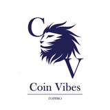 코인바이브(CoinVibes)_ (TOPPRO,Baek)