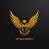 Đỗ Bảo Insights