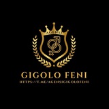 Agensi Gigolo Feni