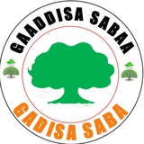 GAADDISA SABAA