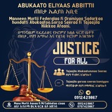Abukaato Eliyaas Abbittii. ጠበቃ ኤልያስ አቢቲ ::