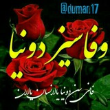 💔 فانی دونیا 💔