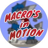 The Channel of Macro GIFs and Vids