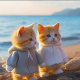 ❣ .هـمسـات لـﻃيفـة ❣