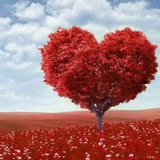 📝 ʀєςɑитღ ∂ɑs ɨиsρɨʀɑçõєs ❤️