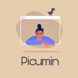 Picumin Servers