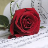 MusicaRomantica