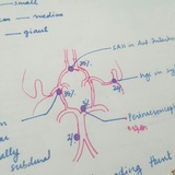 CNS, H&Neck Imaging Quizes