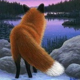 My Gallery || Cool photo