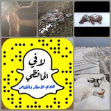 هاوي الامطار والمقناص ⛈ ⚡️