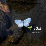 مَـلاذ 🌱