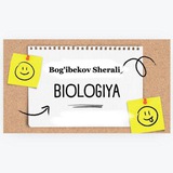 Biologiya||Sertifikat