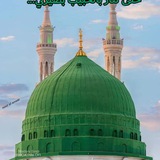 هذا الحبيب 💚