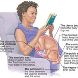 OB-gyn